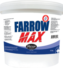Farrow Max Mervue