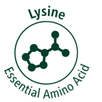 Lysine icon