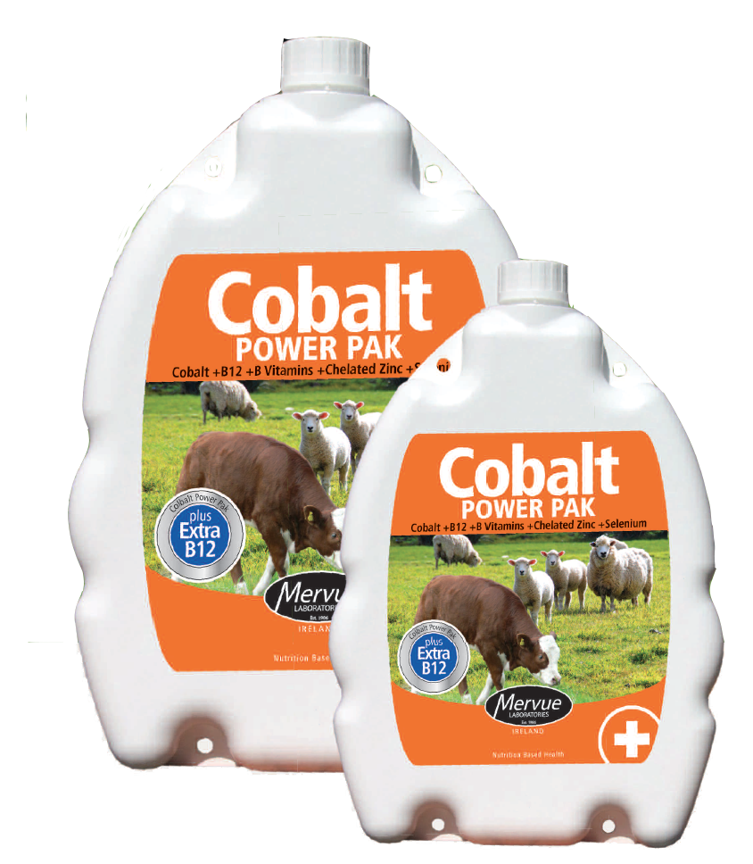 cobalt 60 capsule