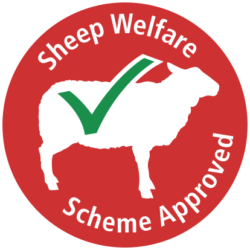 Sheep Welfare icon